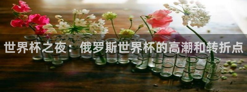 2026世界杯亚洲预选赛：世界杯之夜：俄罗斯世界杯的高潮和转折点