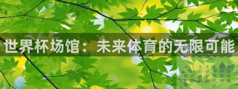 男足世界杯预选赛赛程：世界杯场馆：未来体育的无限可能