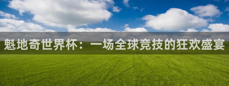 世界杯亚洲区预选赛赛程：魁地奇世界杯：一场全球竞技的狂欢盛宴