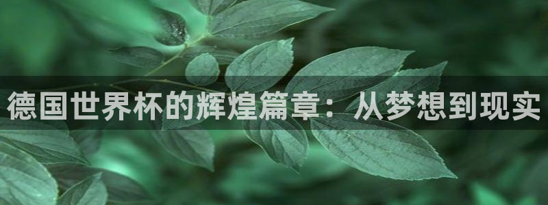 世预赛免费直播入口：德国世界杯的辉煌篇章：从梦想到现实