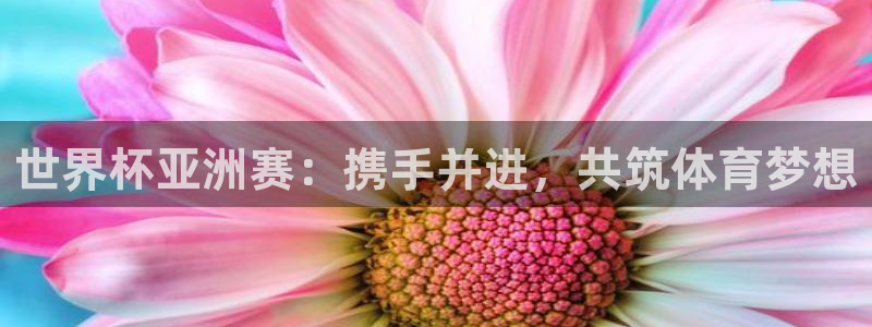 2026足球世界杯赛程时间表：世界杯亚洲赛：携手并进，共筑体育梦想