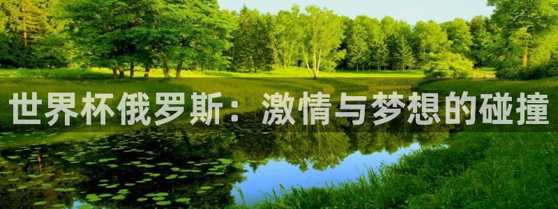 世界杯球赛：世界杯俄罗斯：激情与梦想的碰撞