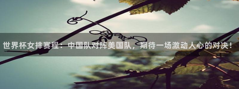 2026世界杯小组赛赛程时间表：世界杯女排赛程：中国队对阵美国队，期待一场激动人心的对决！