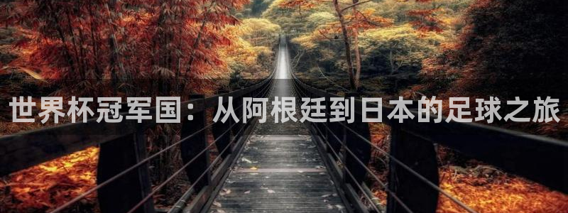 世界杯预选赛2026：世界杯冠军国：从阿根廷到日本的足球之旅