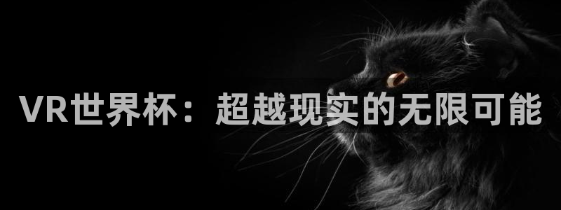 世界杯转播表：VR世界杯：超越现实的无限可能