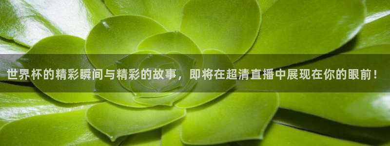 2026世界杯欧洲预选赛赛程表：世界杯的精彩瞬间与精彩的故事，即将在超清直播中展现在你的眼前！