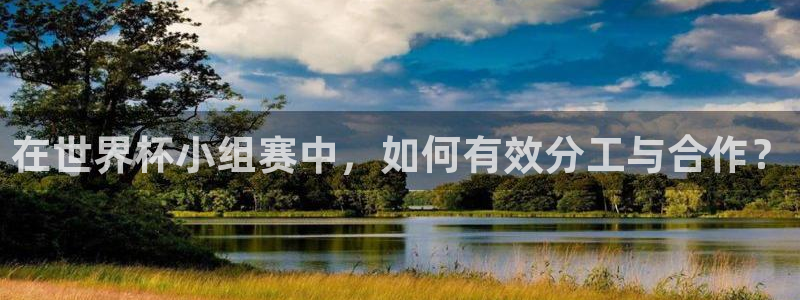 世界杯女足直播:在世界杯小组赛中,如何有效分工与合作?