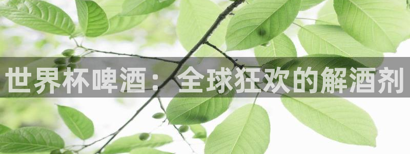 足球世界杯：世界杯啤酒：全球狂欢的解酒剂